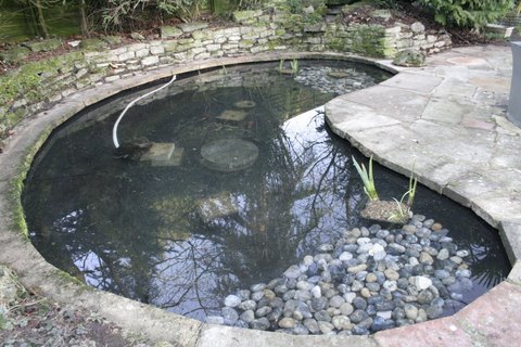 Garden pond clean works