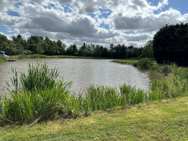 Clear lake after weed clearance work